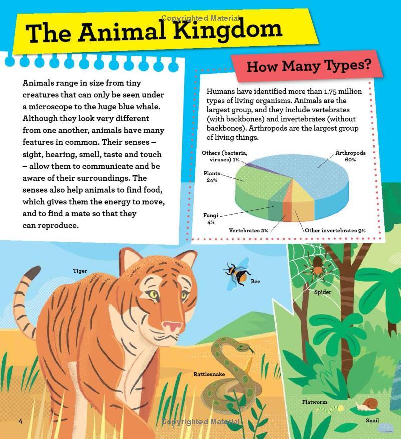 Sách ngoại văn: Discover It Yourself - Animals In Action