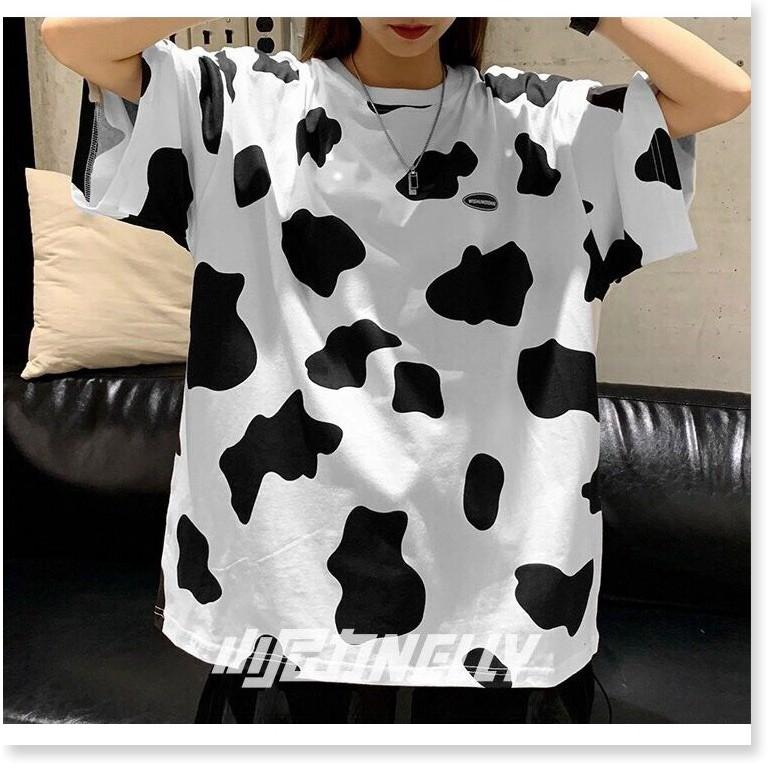 ÁO THUN LOANG BÒ SỮA NAM NỮ