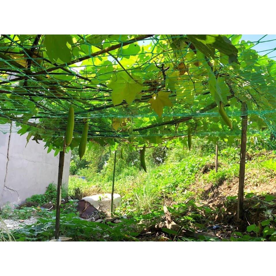 Lưới làm giàn leo, lưới trồng cây leo chất liệu HDPE bảo hành 3 năm cam kết hàng đẹp