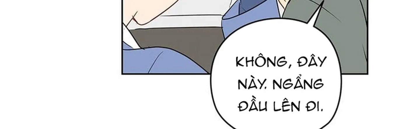 chuyện quái gì với giấc mơ đó vậy chapter 12 329