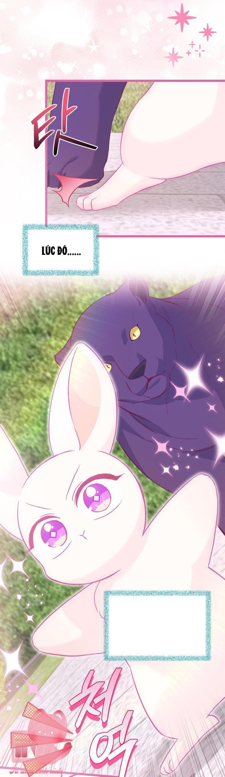 quan hệ cộng sinh giữa báo đen và thỏ trắng chapter 121 30