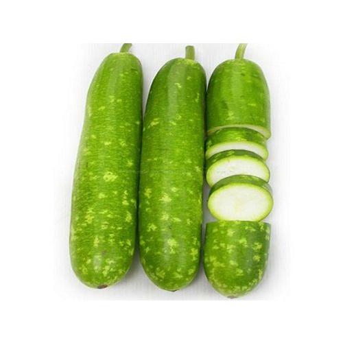 Hạt giống Bầu Sao trái ngắn
