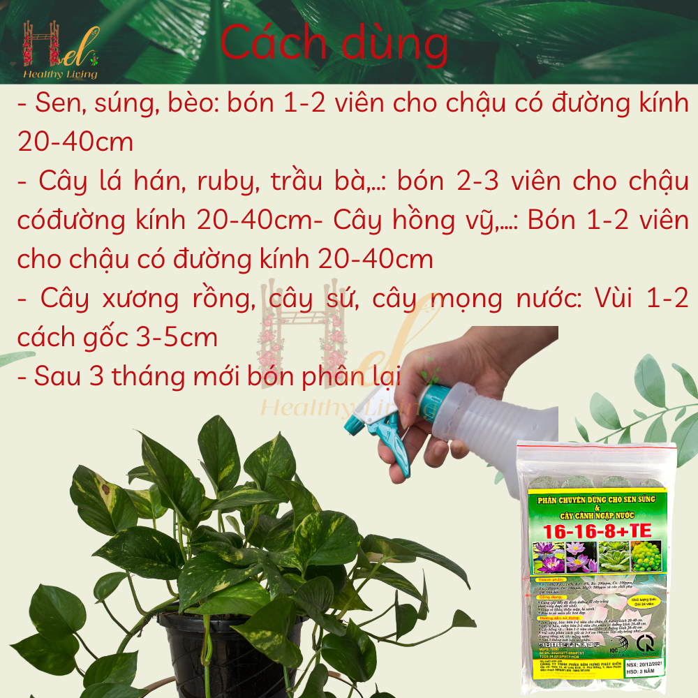 Phân Bón Hoa Sen Hoa Súng Và Cây Ngập Nước NPK 16-16-8+TE Gói 24 Viên