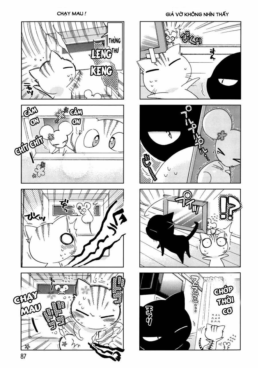 ashiya-san no neko chapter 11 8