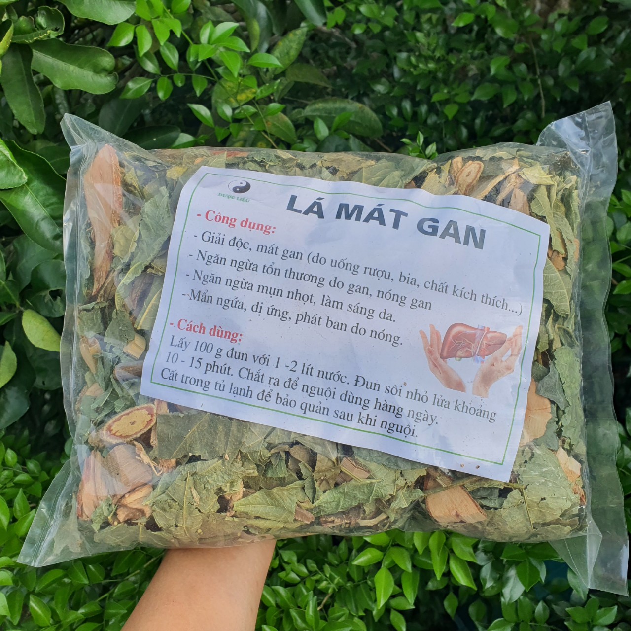 Túi 1Kg Lá Mát Gan giải độc mát gan người dùng nhiều bia ruou