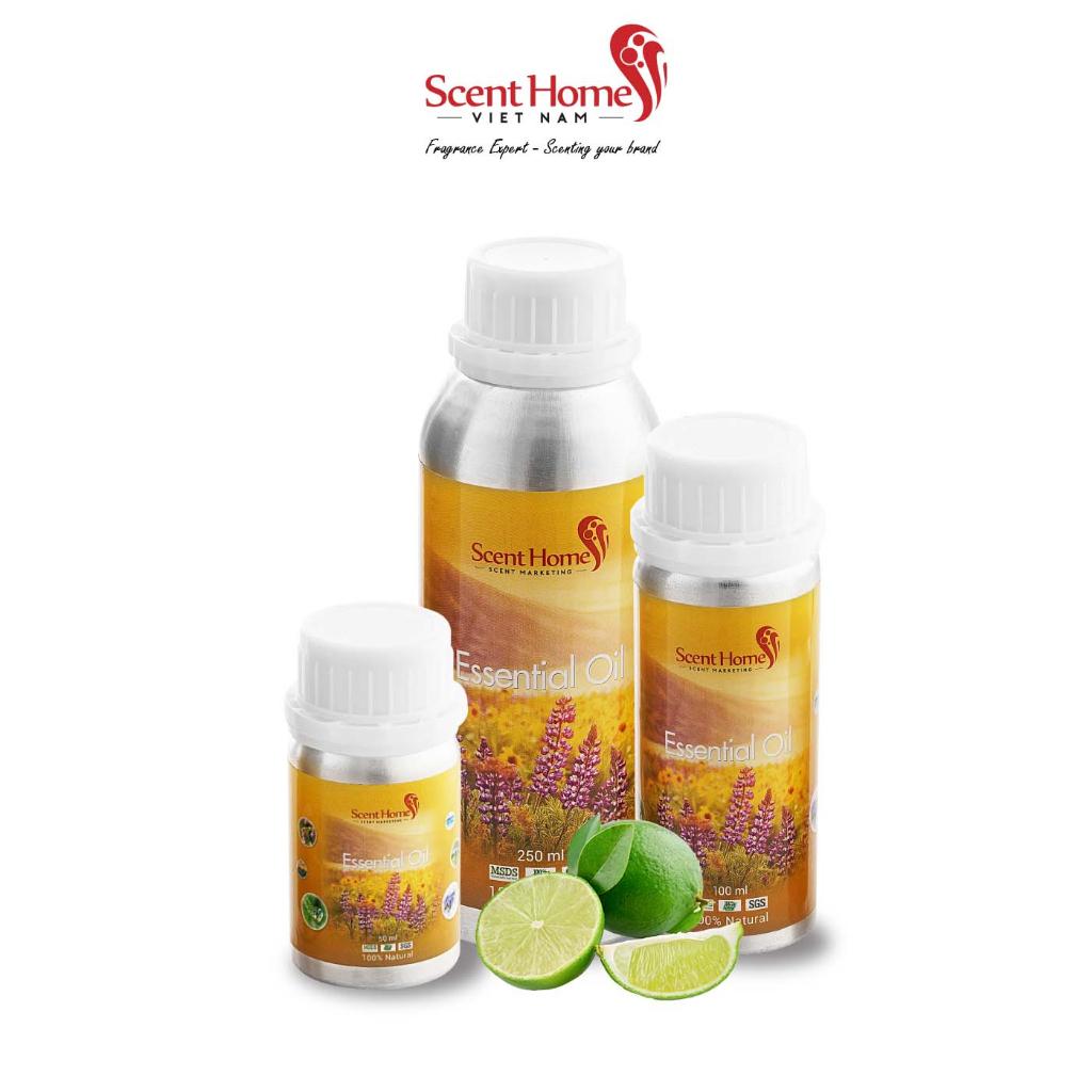 Tinh dầu Scent Homes - mùi hương (Yankee Key Lime Pie)