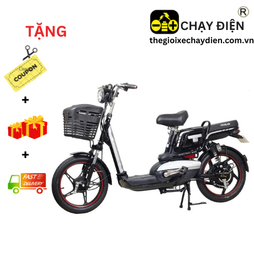 Chia sẻ hơn 53 về xe đạp điện honda cũ mới nhất  Du học Akina