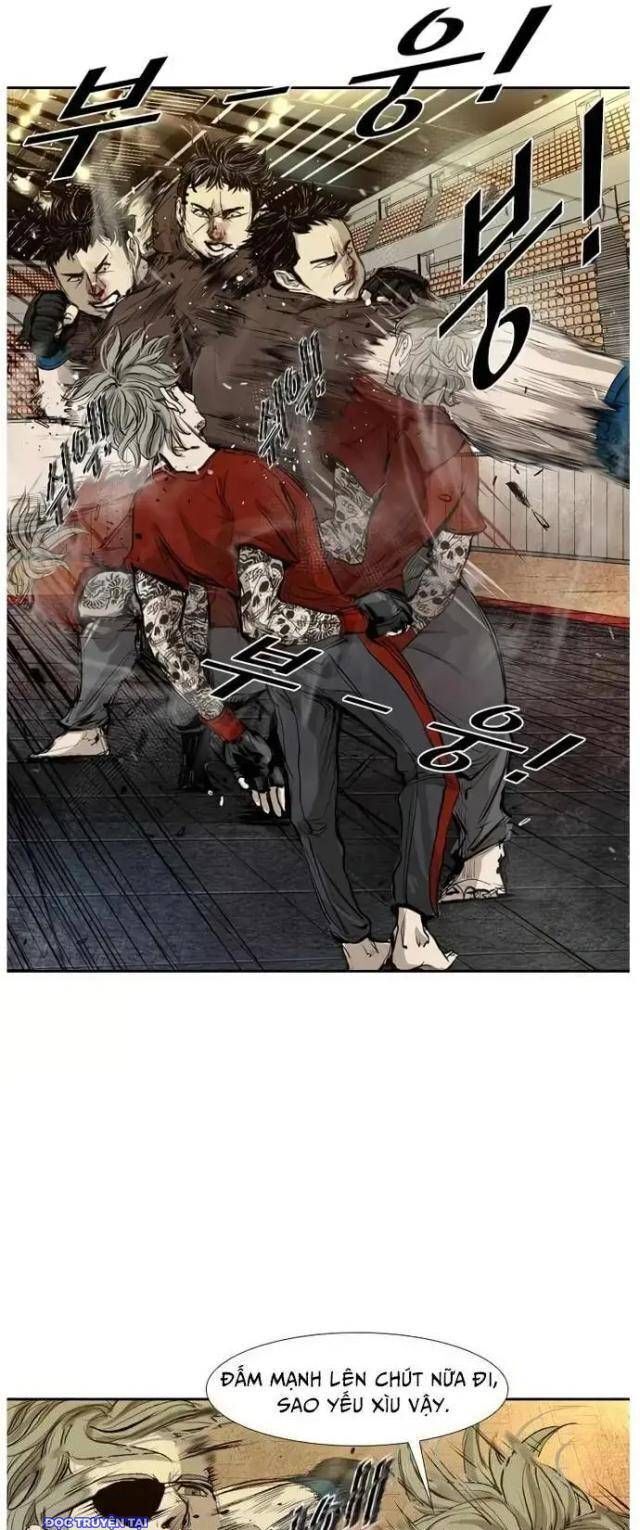 shark - cá mập chapter 128 14