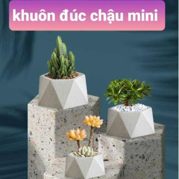 Khuôn chậu đúc chậu cảnh mini phù hợp trồng cây sen đá để bàn