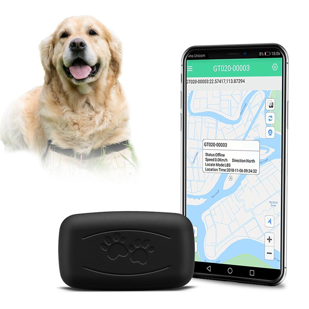 Pet Gps Tracker Smart Gps Tracker For Dog 2G App Control Ip67 Waterproof