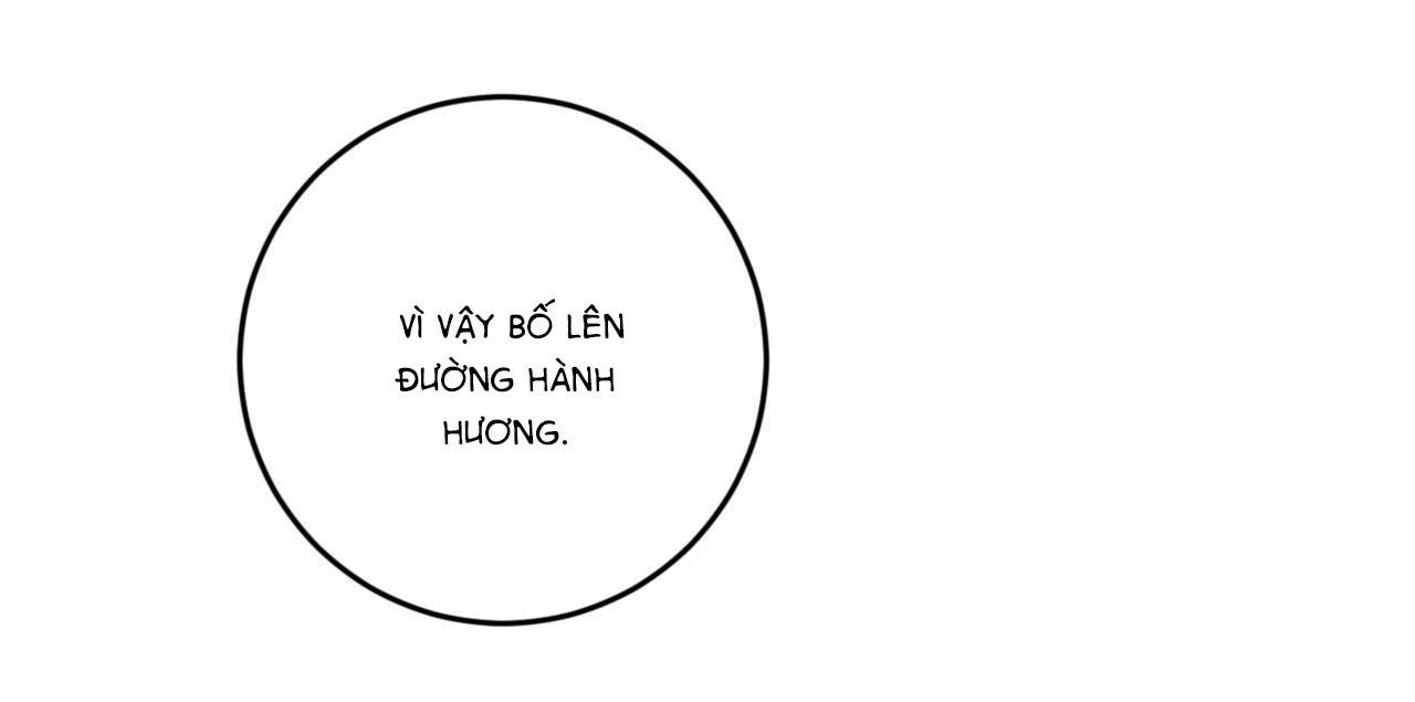 khu rừng tĩnh lặng chapter 3 45