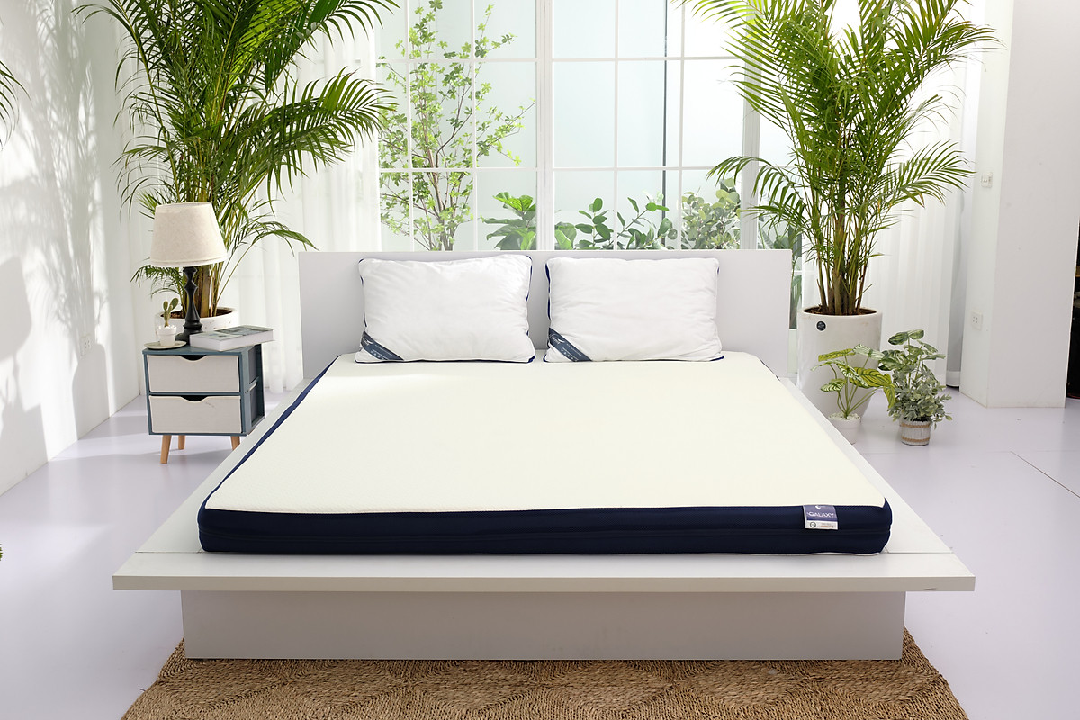 Nệm foam Premium Goodnight Nagoya 12cm tại Vua Nệm - Bảo vệ cột sống, kháng khuẩn hiệu quả
