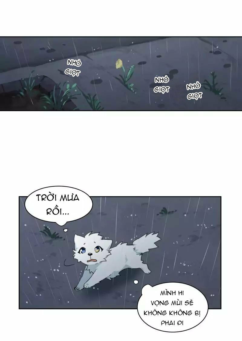 lumine - cội nguồn ánh sáng chapter 22 25