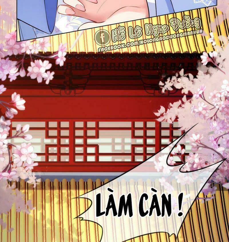 quận chúa vững vàng, thiết lập nhân vật không thể vỡ chapter 41 41