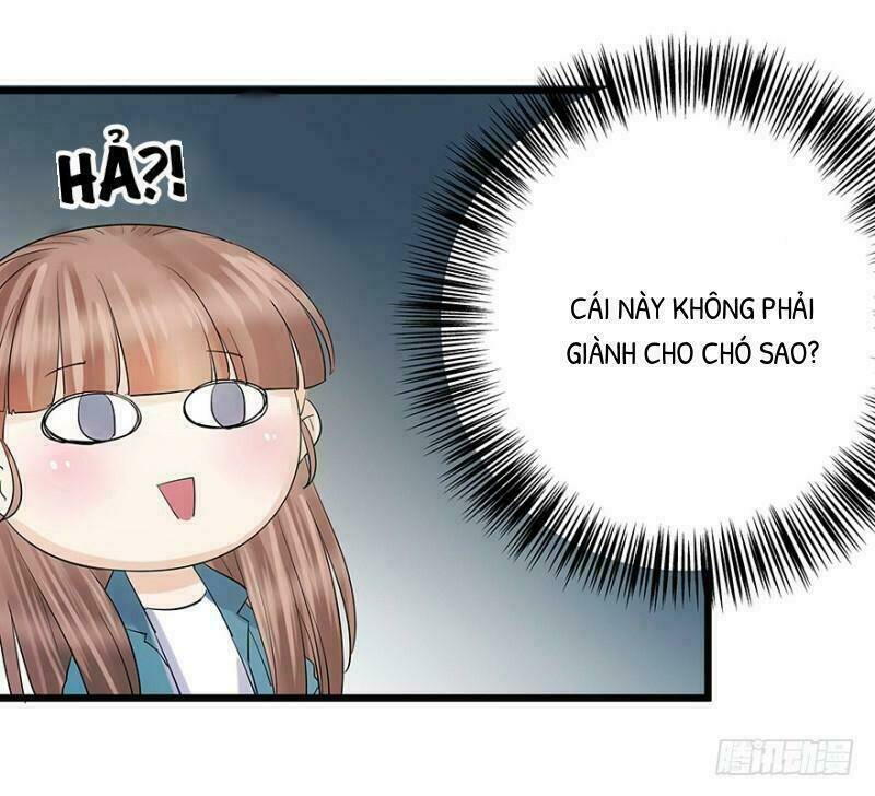 chào buổi sáng, ức vạn manh thê chapter 5 35