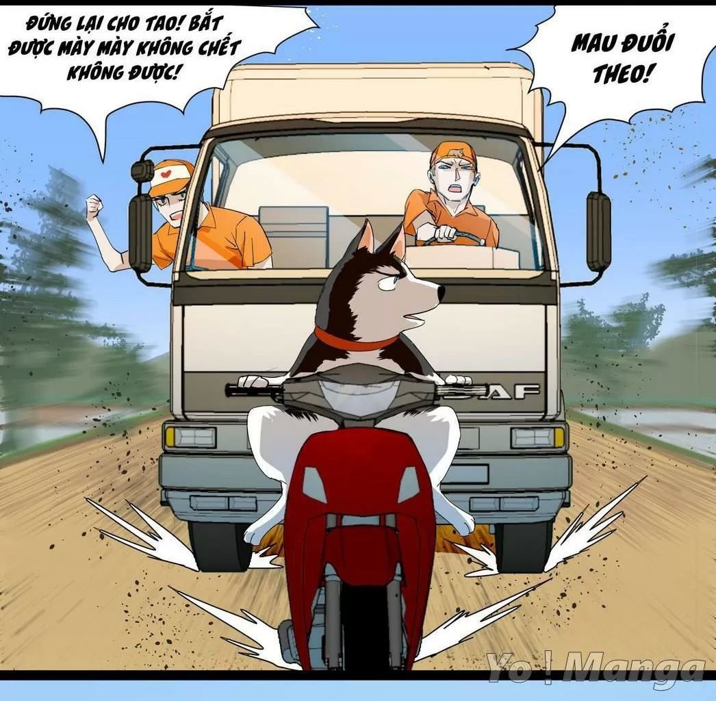 một con chó chapter 62 4