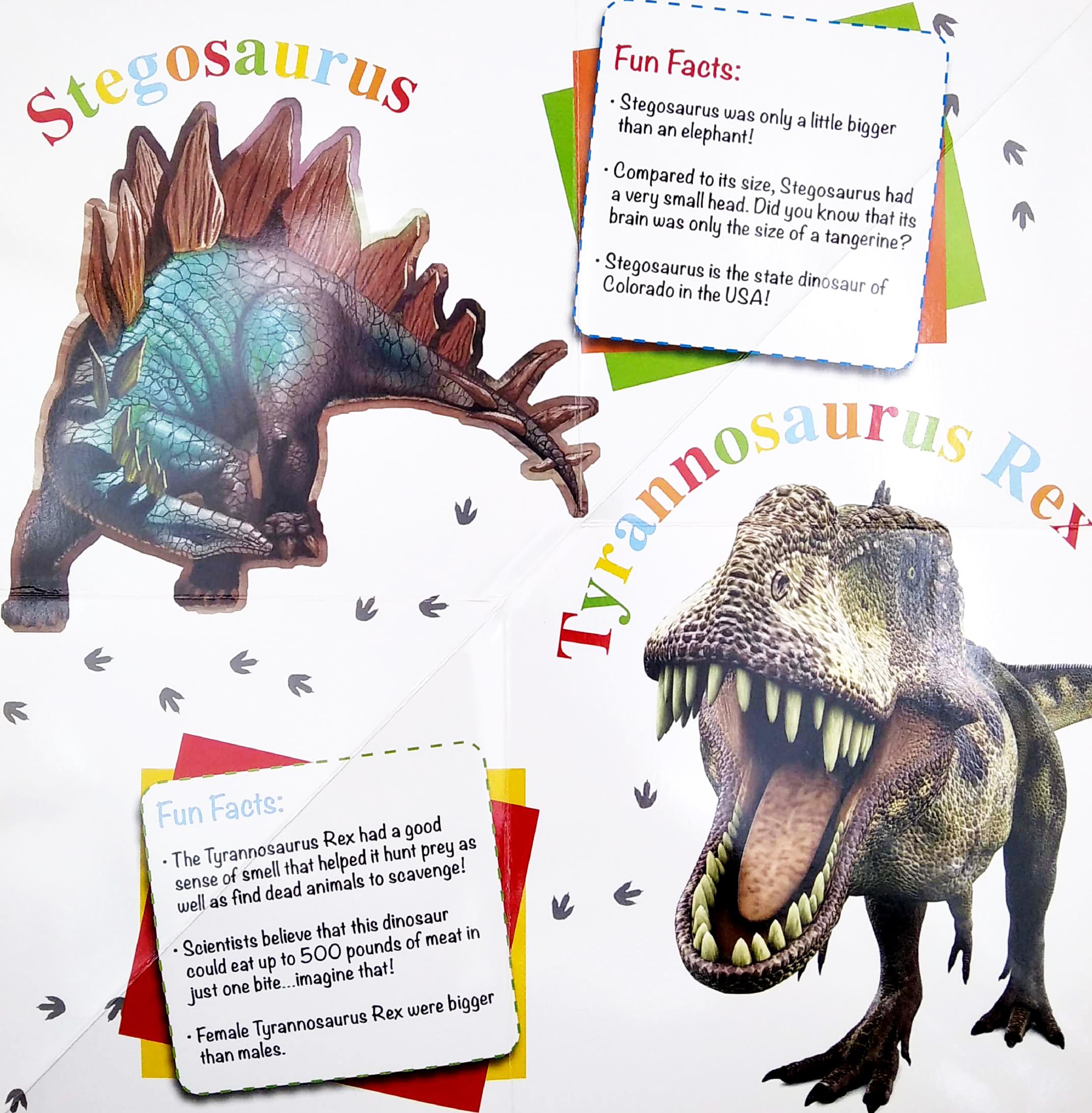 Wonder Of Learning - My Fold-Out Book Of Dinosaurs