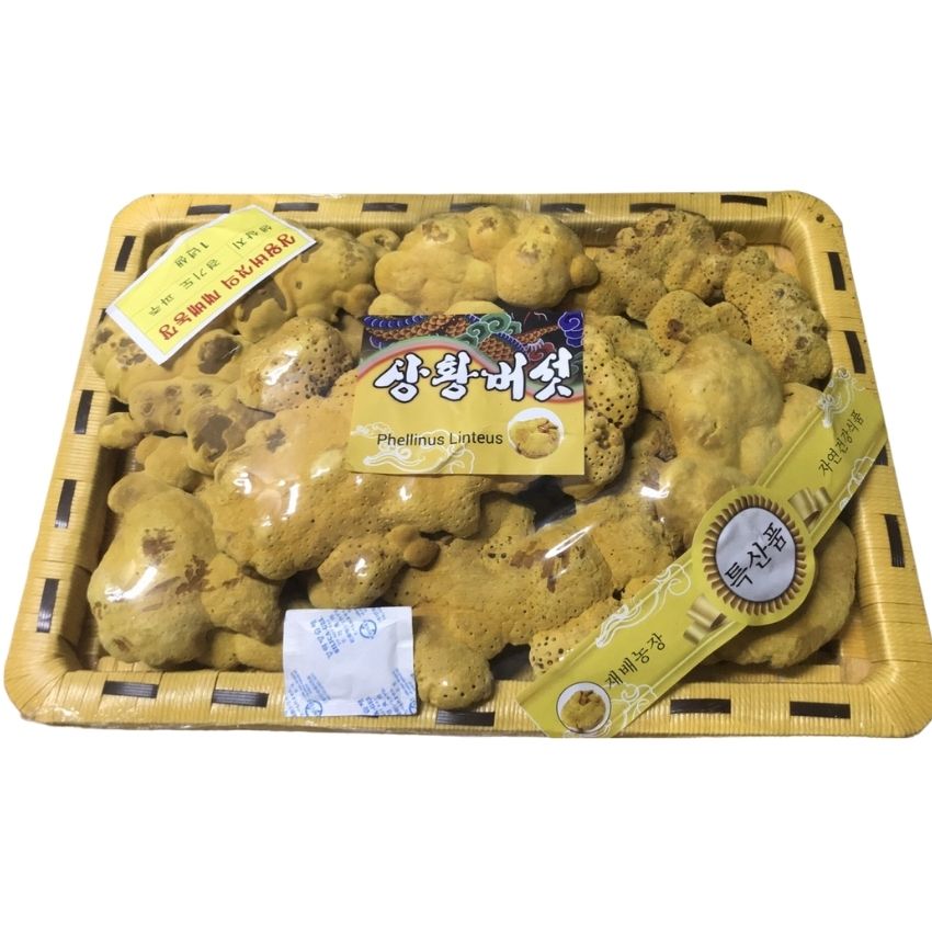 Nấm Linh Chi Nấm Thượng Hoàng Vàng Hàn Quốc
