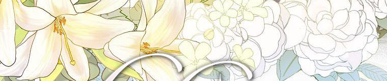 tiểu thư chỉ muốn được nghỉ ngơi chapter 55 468