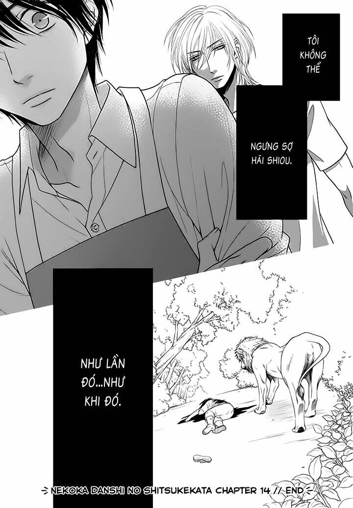 nekoka danshi no shitsukekata chapter 14 25