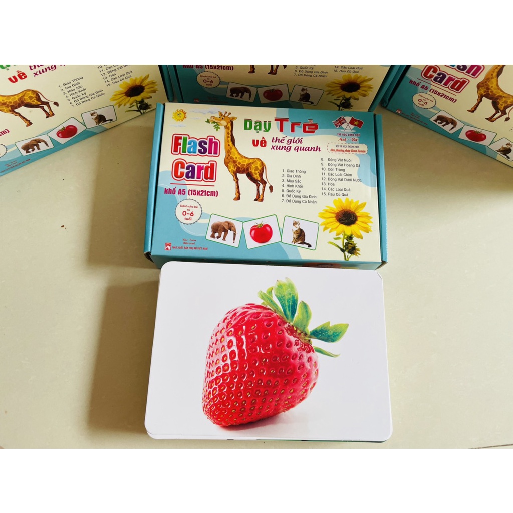 Đồ chơi thẻ học thông minh cho bé loại lớn 256 thẻ Flashcard Glenn doman