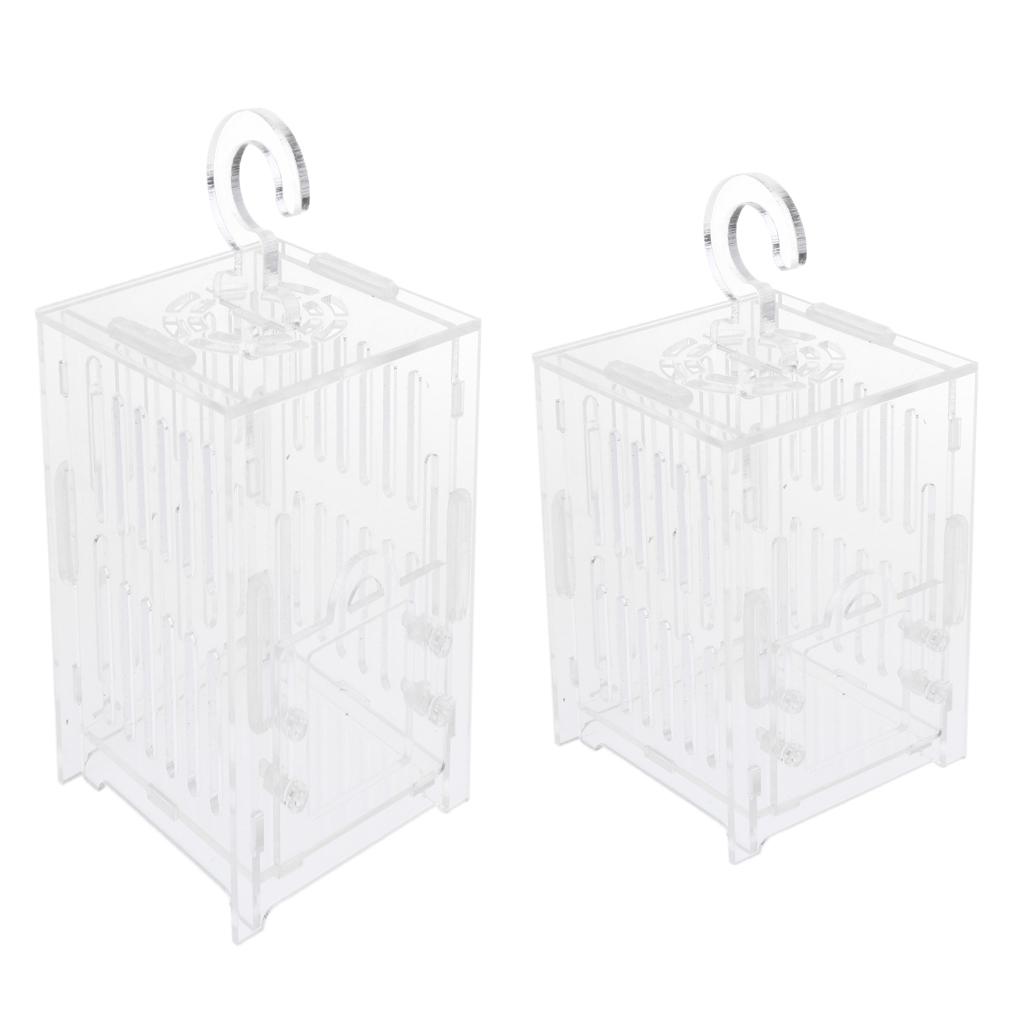 Durable Acrylic Small Insect Cage Grasshopper Feeding Cricket Cage Indoor Toy