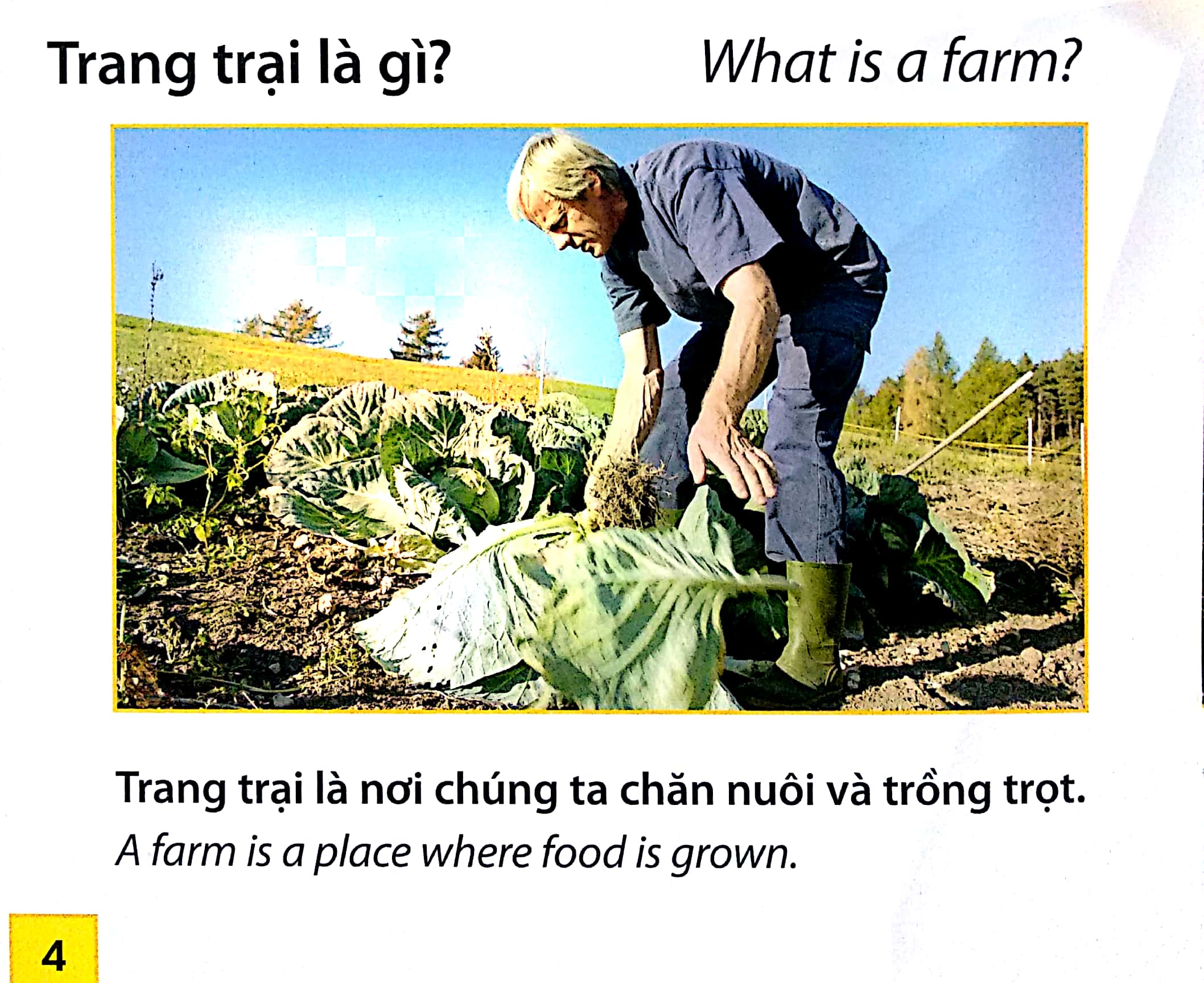 Thế Giới Trang Trại - Động Vật Ở Trang Trại