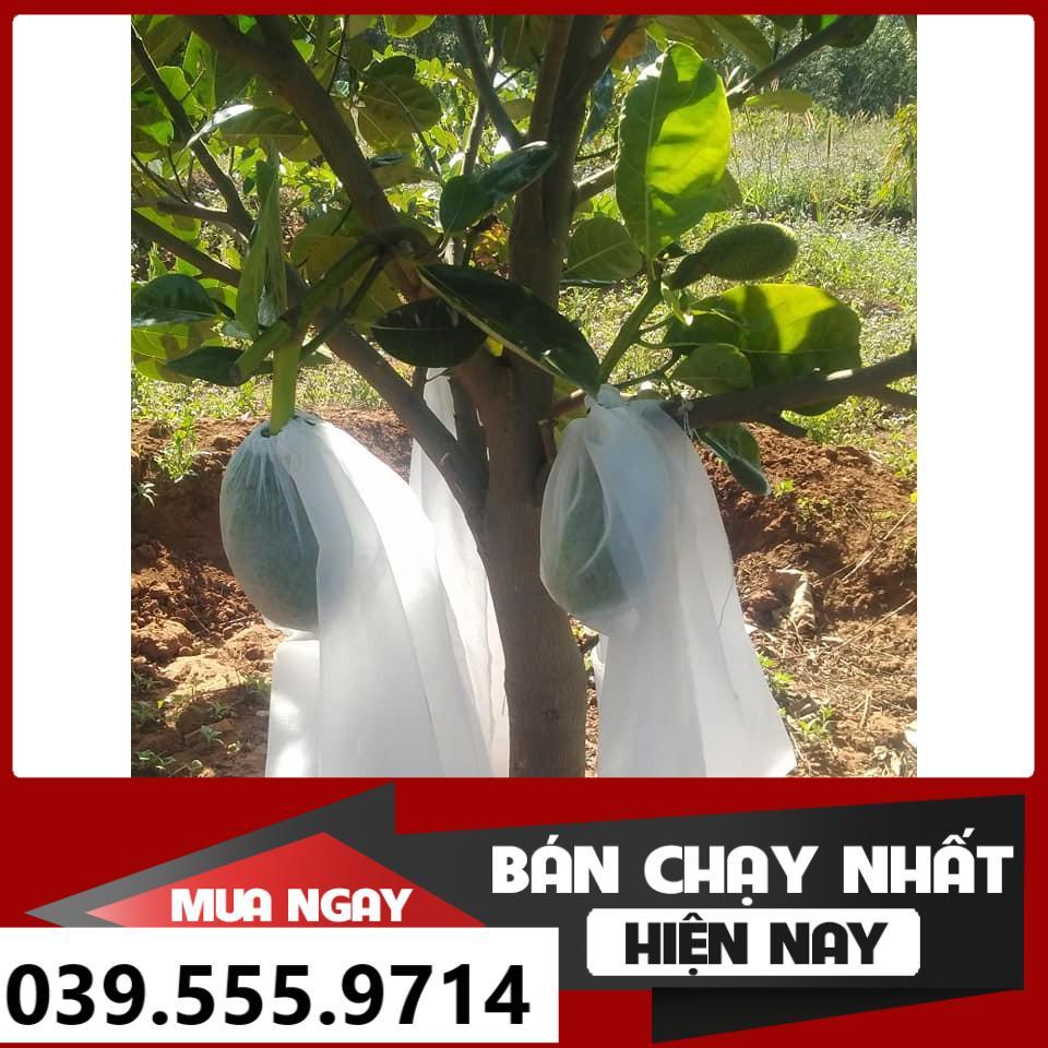 100 TÚI BỌC MÍT SIZE 45X60 - CHỐNG CÔN TRÙNG BẢO VỆ QUẢ