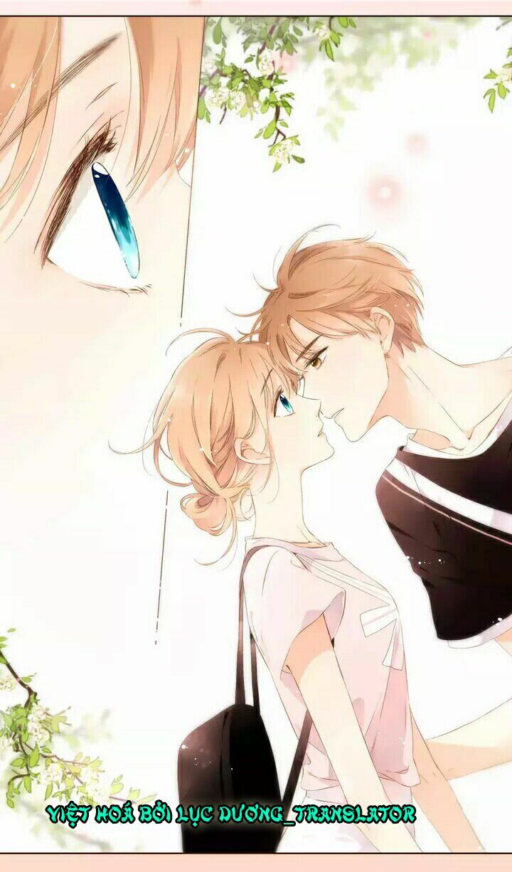 Tình yêu là màu hoa anh thảo chapter 28.2 15