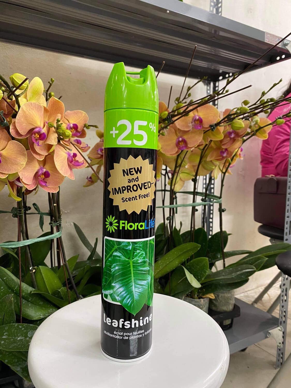 XỊT BÓNG LÁ FLORALIFE TỪ MỸ