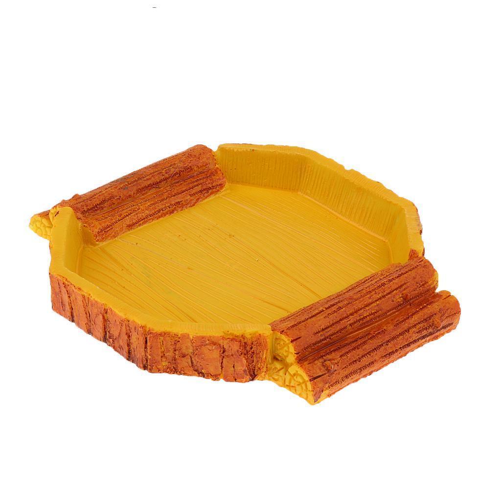 2Pcs Reptile Food Feed Dish Water Bowl for Tortoise Spider