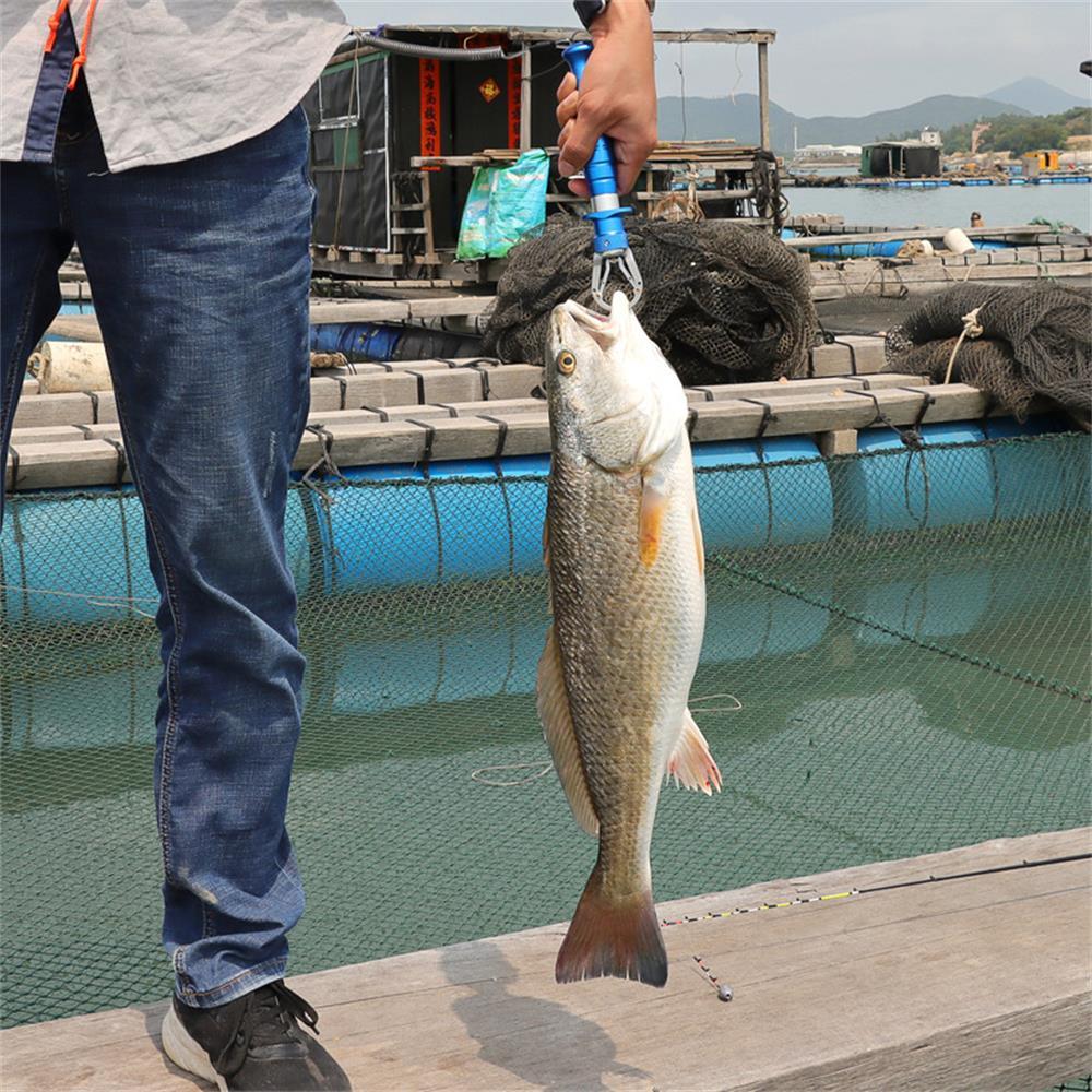 Giá Đỡ Câu Cá Di Động Hợp Kim Nhôm