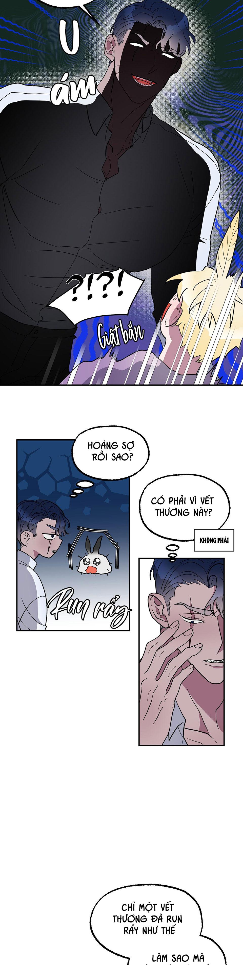 cá mập và cô dâu thỏ chapter 1 28