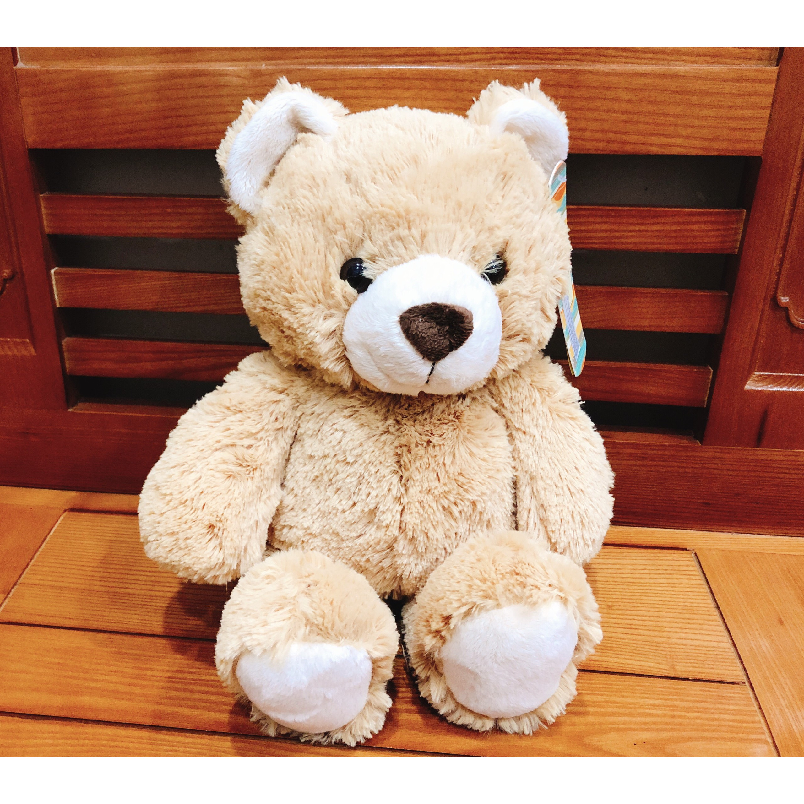 Gấu Bông Teddy Cao Cấp OSSSO38 38cm