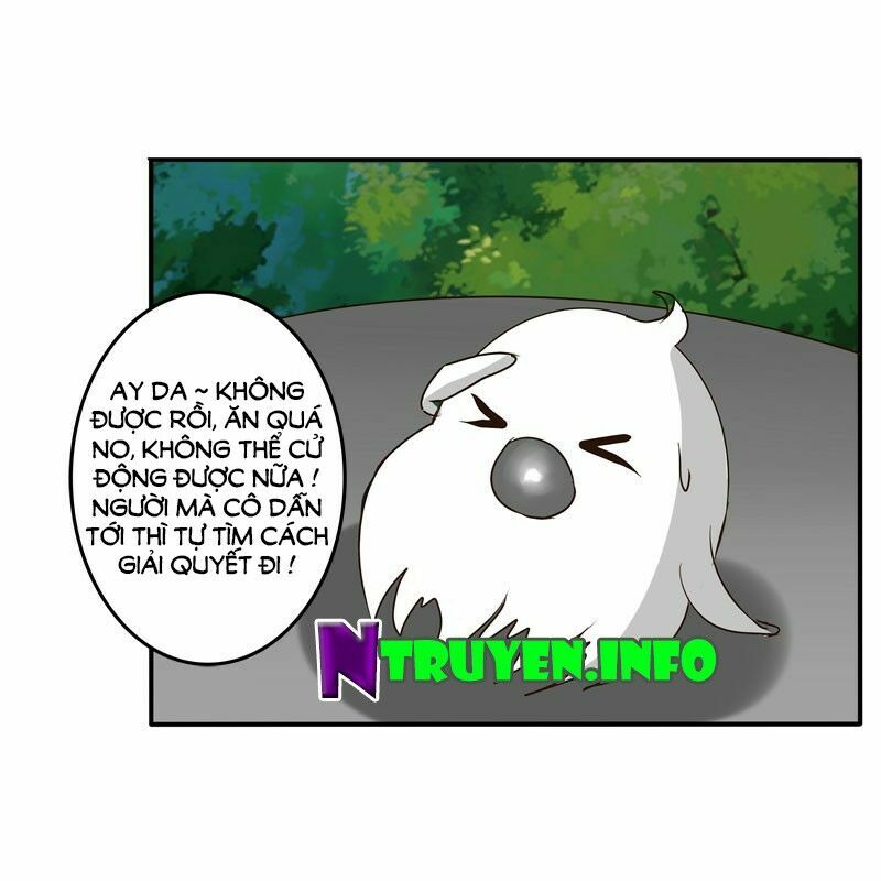 thông linh phi chapter 36 43