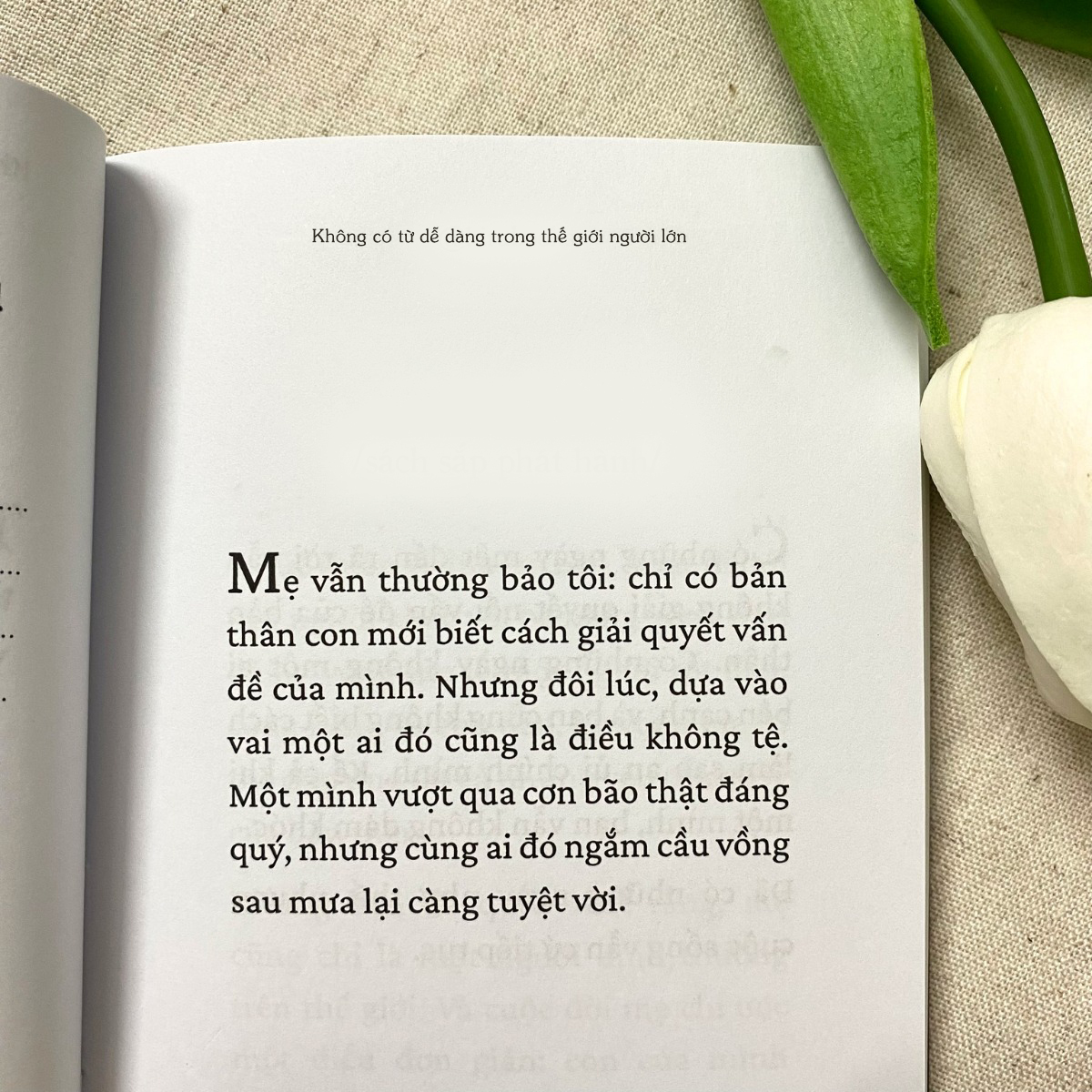 Không Có Từ Dễ Dàng Trong Thế Giới Người Lớn