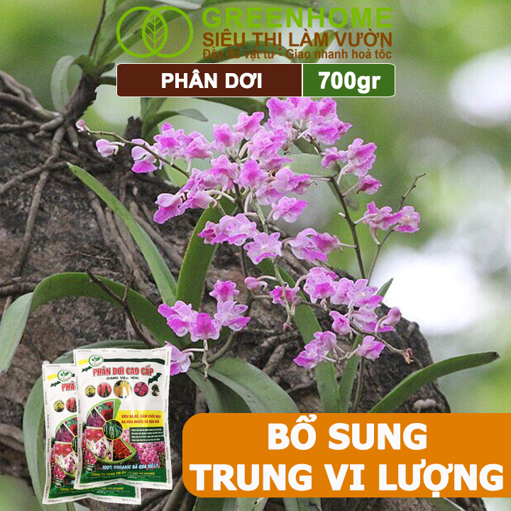 Phân Dơi Greenhome, Bao 700gr, Viên Nén, Đã Qua Xử Lý, Ra Rễ Mạnh, Hoa Nhiều, Tốt Cho Lan, Kiểng, Rau, Cây Ăn Trái