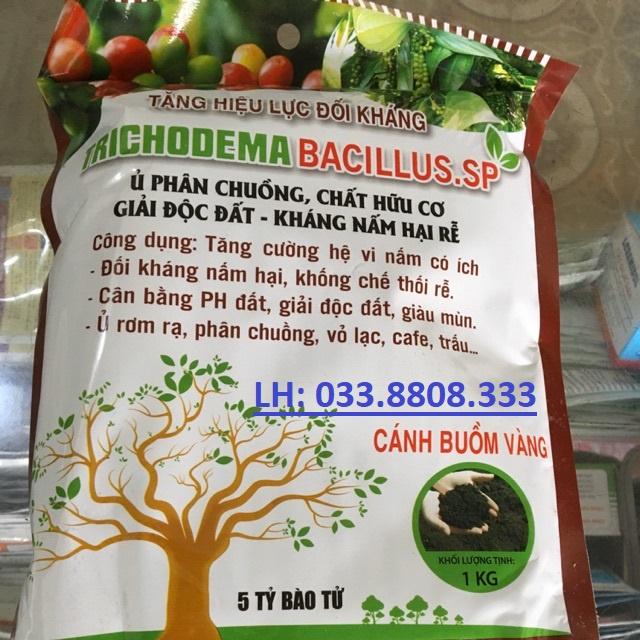 Trichoderma 1kg - chế phẩm hữu cơ diệt nấm đối kháng, tăng hiệu lực đối kháng cho cây trồng