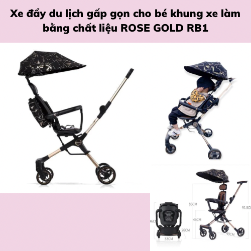 Xe đẩy du lịch gấp gọn DELAMA ROSE GOLD RB1