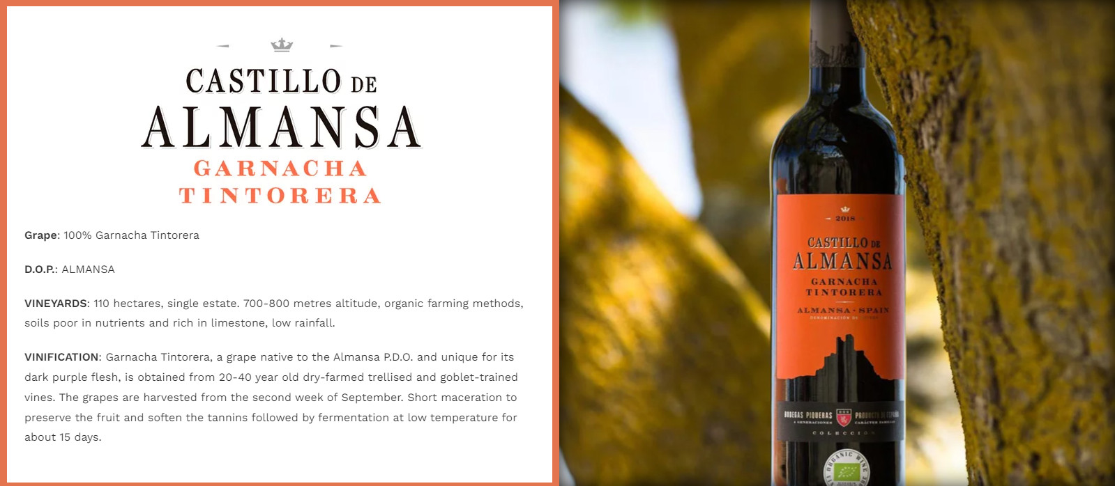Rượu Vang Organic hữu cơ Castillo de Almansa Coleccion Garnacha Tintorera (Tây Ban Nha) kèm túi hộp,đồ khui