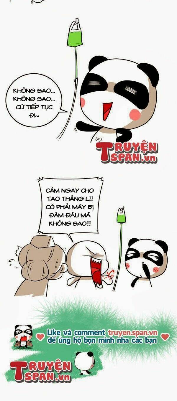 gấu ngốc và những người bạn chapter 20 2