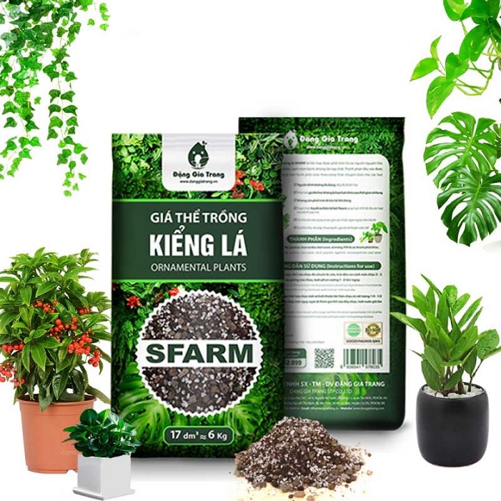 1Kg Giá Thể Trồng Cây Kiểng Lá Sfarm - Đất Hỗn Hợp Trồng Cây Cảnh