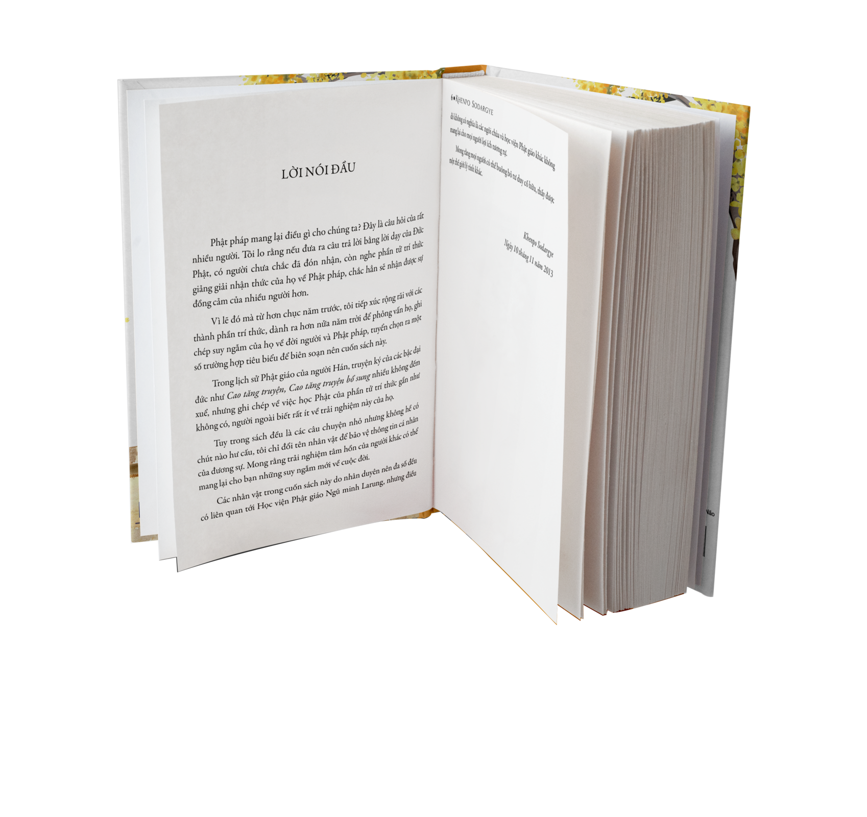 BỘ SÁCH "TIẾC" - Sách Tôn Giáo, Nghệ Thuật Và Văn Hóa, Tác Giả KHENPO SODARGYE - Á Châu Books, bìa mềm, in màu