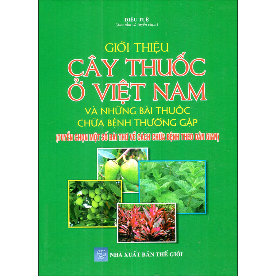 Giới Thiệu Cây Thuốc Ở Việt Nam Và Những Bài Thuốc Chữa Bệnh Thường Gặp