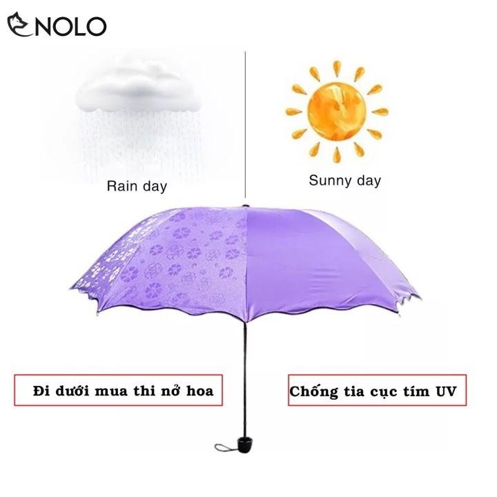 Dù Ô Đi Nắng Mưa Chống Tia UV Gặp Nước Nở Hoa Rộng Khi Bung Rộng 112cm