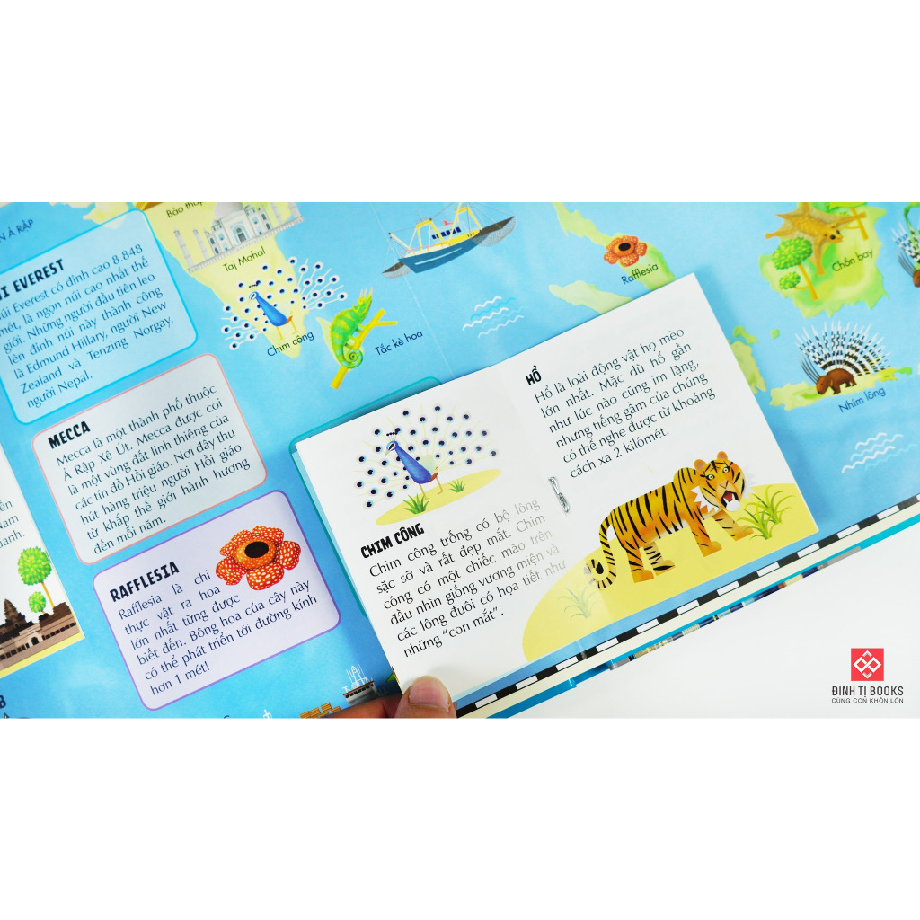 Sách Atlas Thế Giới – Khám Phá Các Châu Lục và Đại Dương – Đinh Tị Books