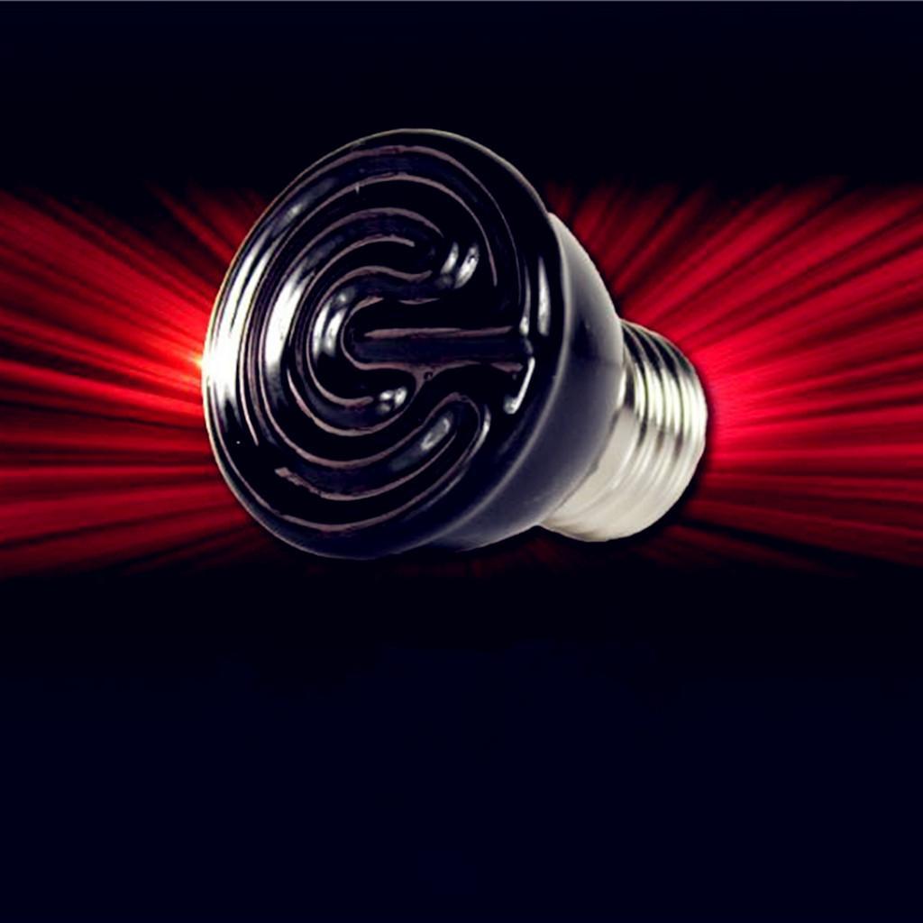 3X 80W Mini Infrared Ceramic Emitter Heat Lamp Light Bulb Reptile Pet Brooder