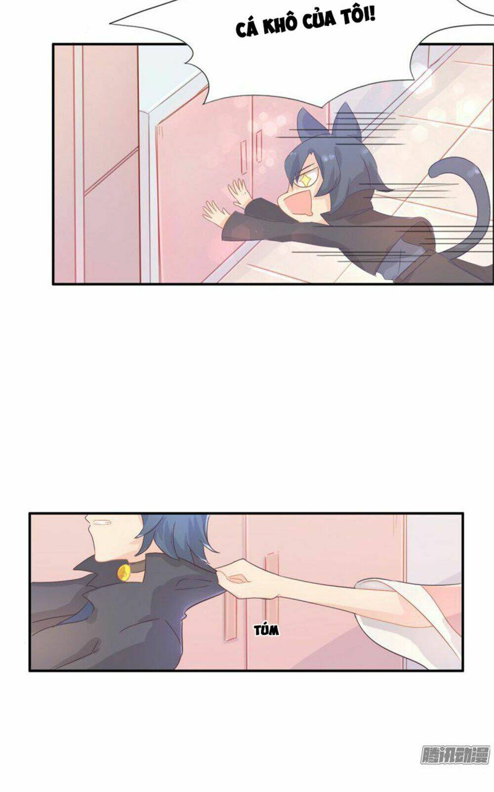 hai chú mèo totem chapter 1 42