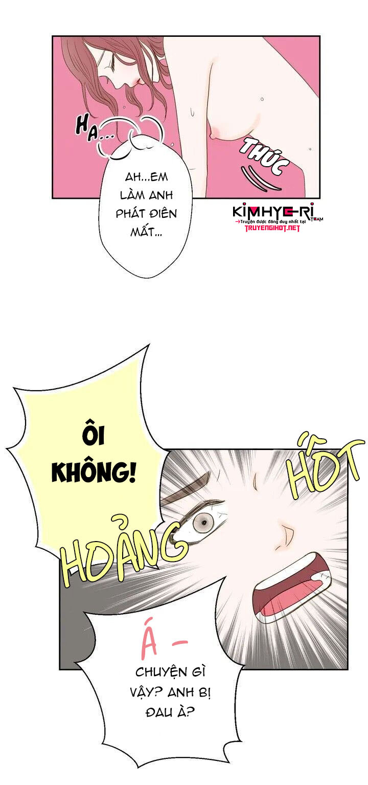 honey bed talk chapter 1 16