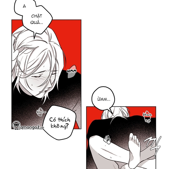 bữa tiệc của những đóa hoa chapter 20 41